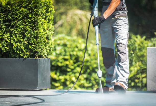 Best House Exterior Washing  in Belle Plaine, IA